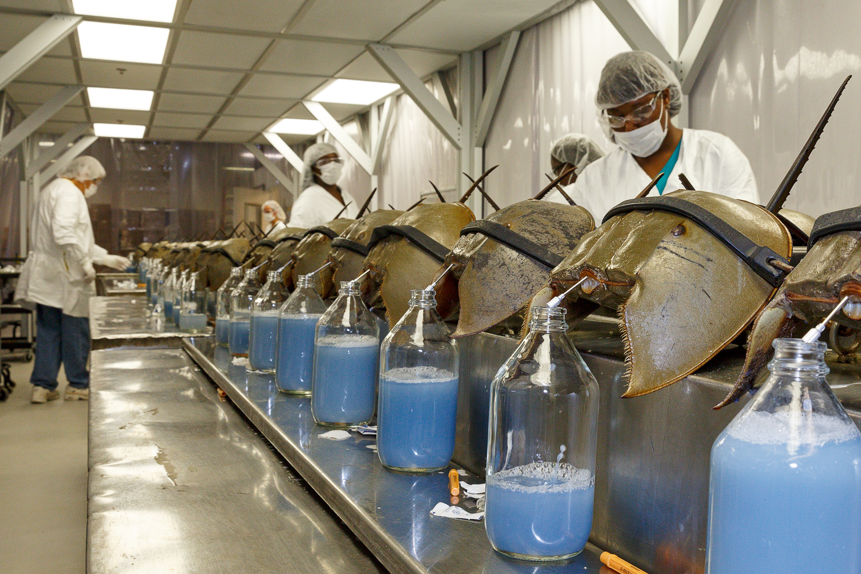 Taking It to the Moon and Back—With a Pitstop for Eggs Defenders of